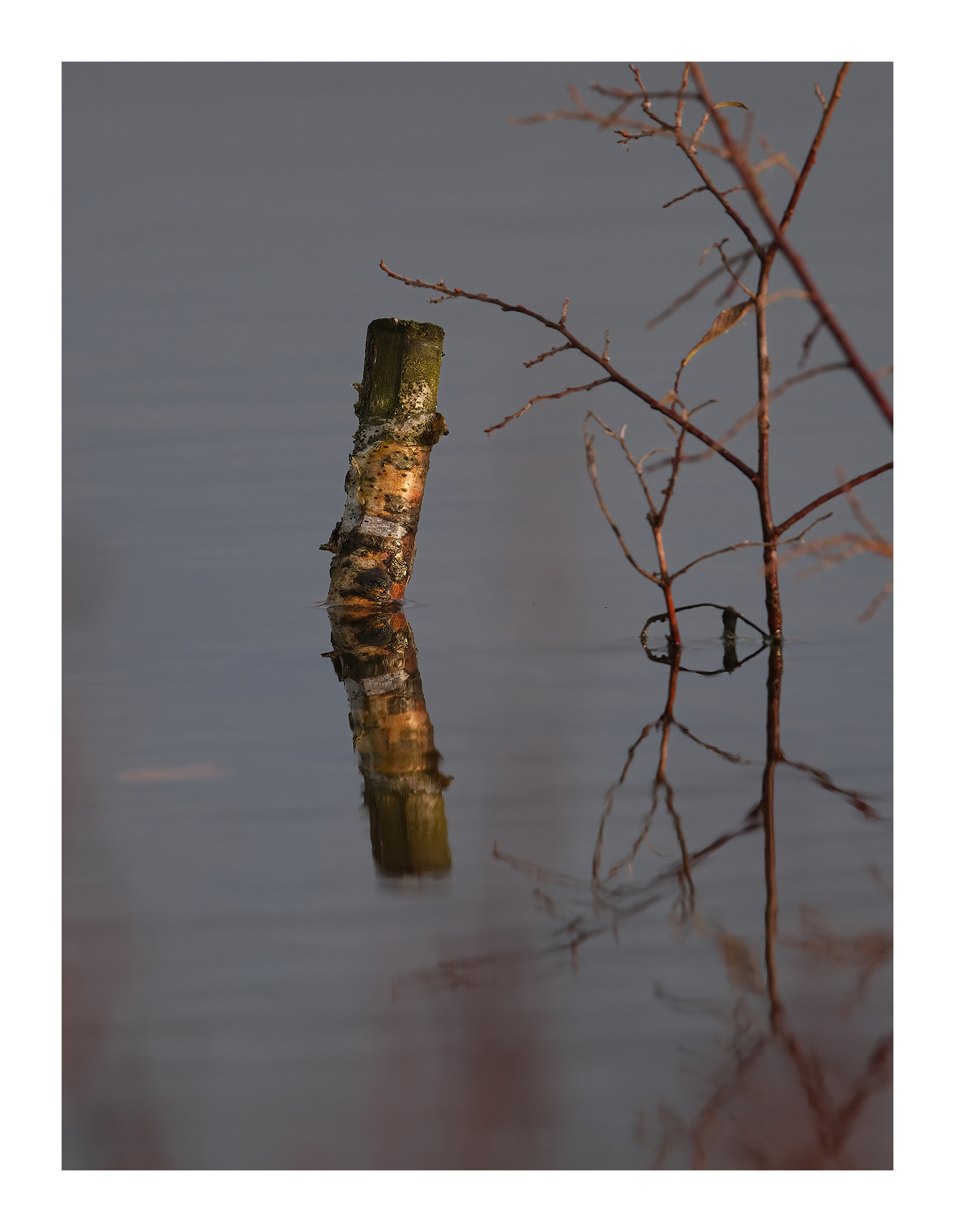DSCF7994.jpg