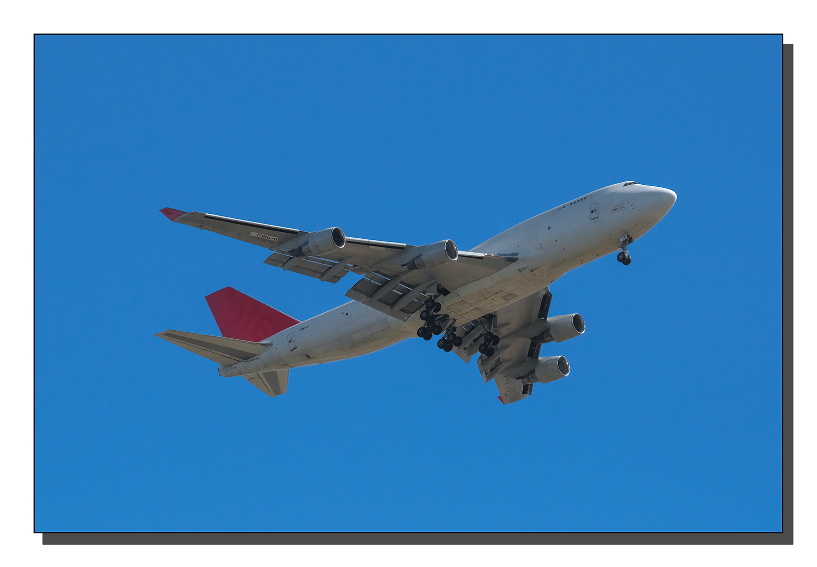 ASCF8806.jpg