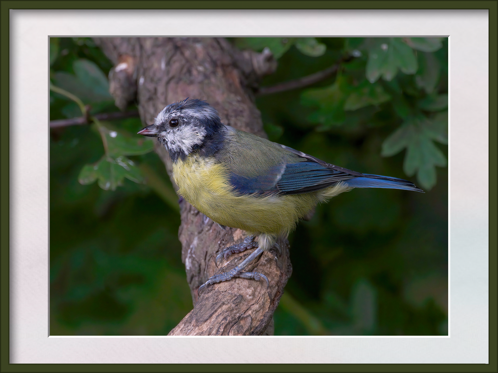 DSCF9255.jpg