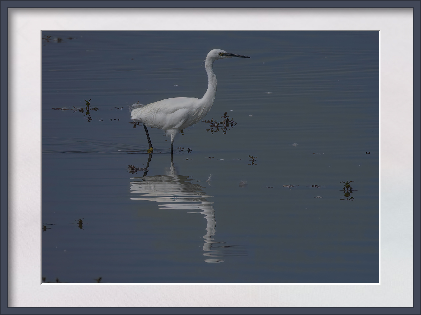 DSCF0382g-cropped.jpg