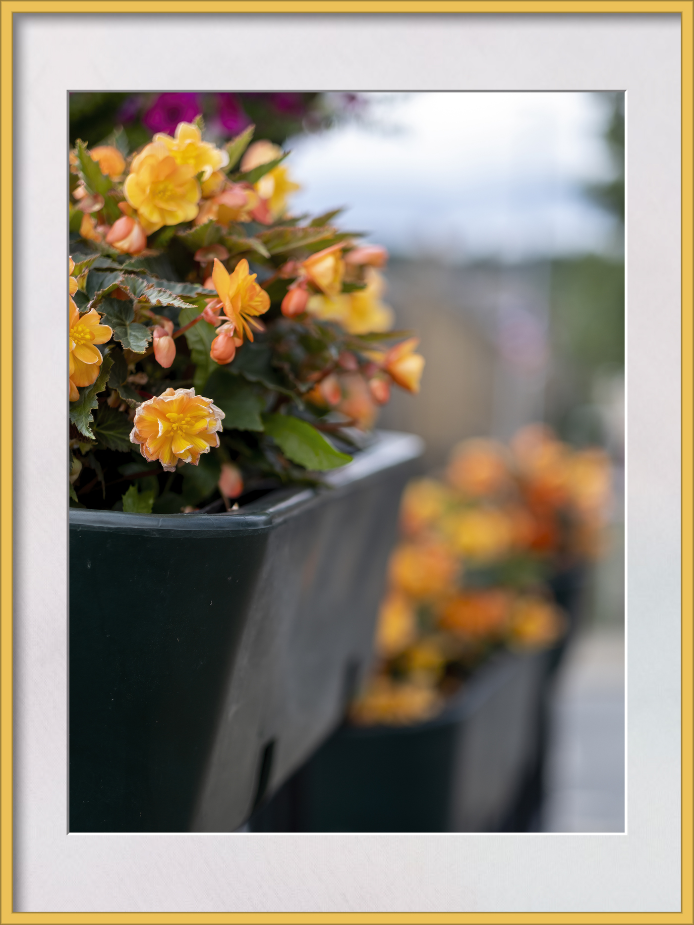 DSCF4380.jpg