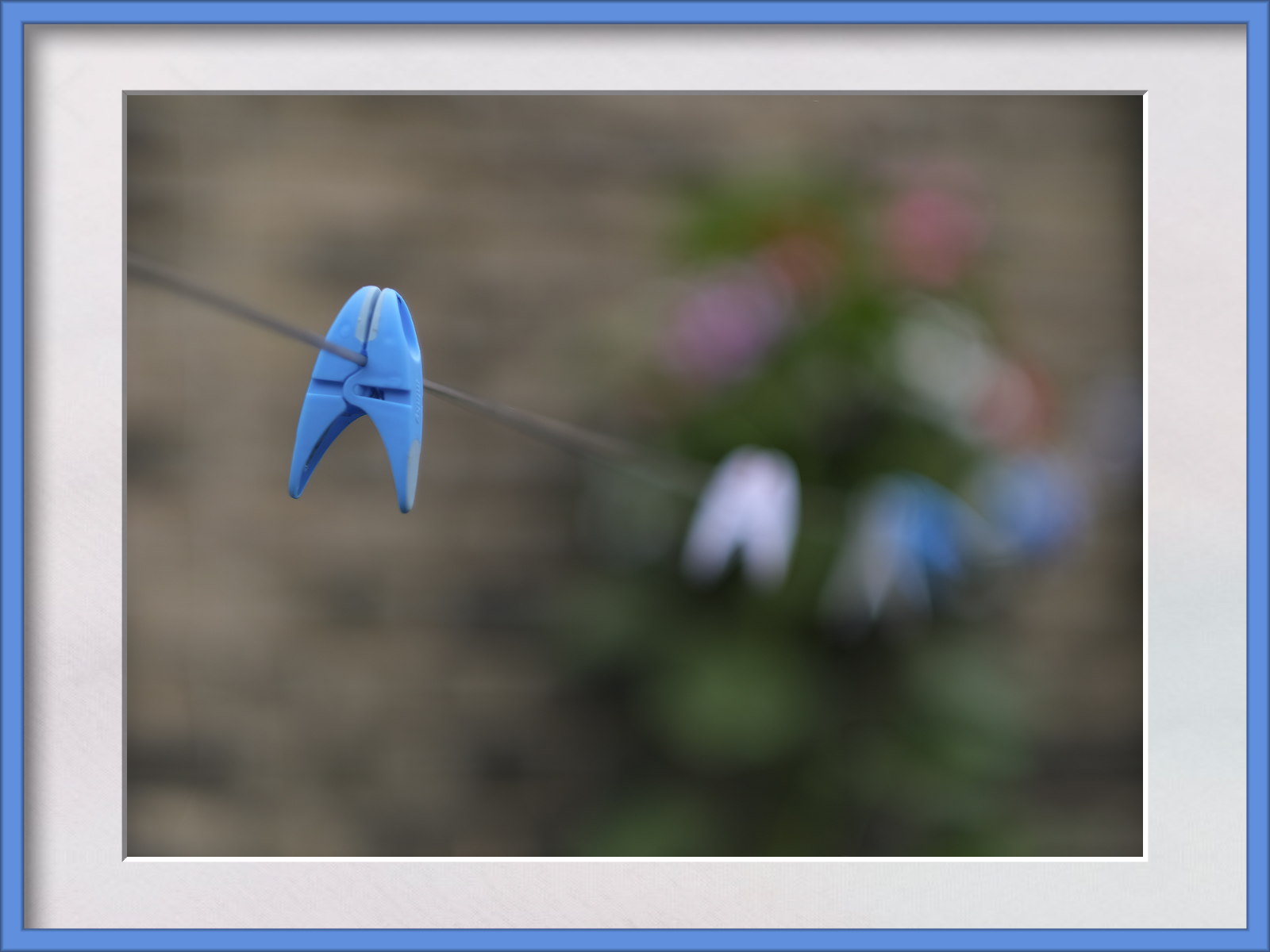 DSCF4468.jpg