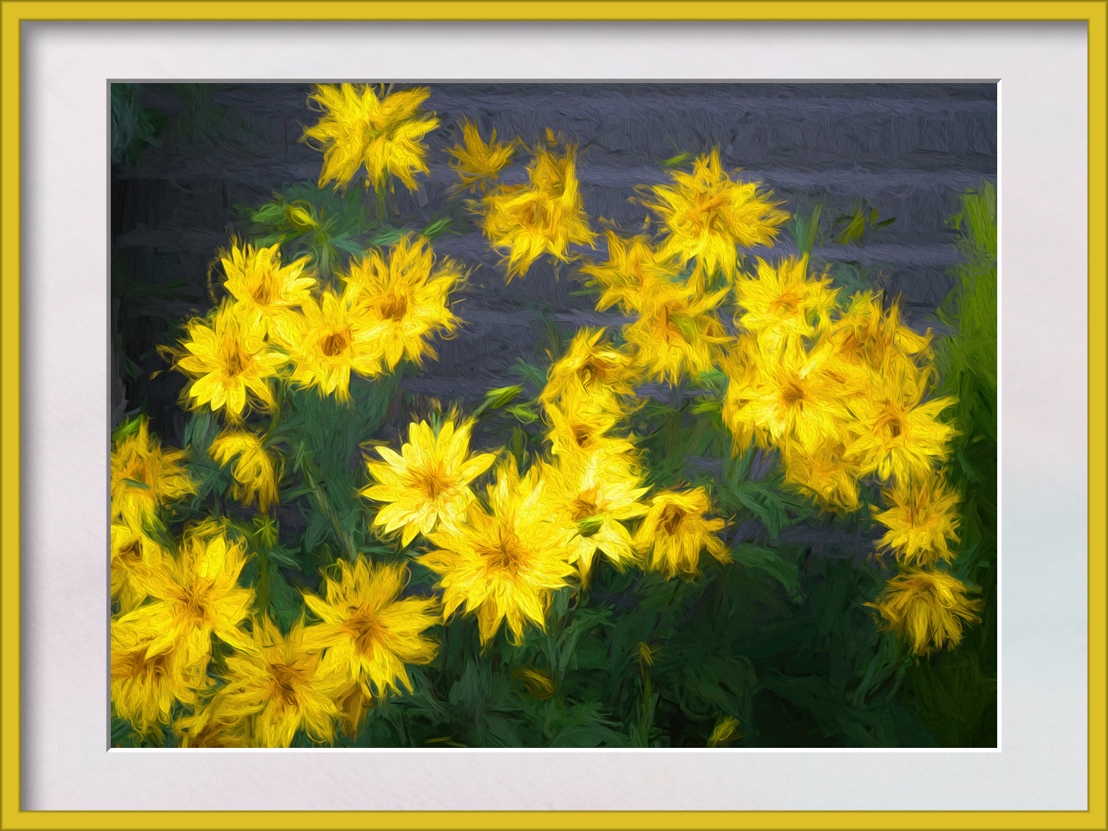 DSCF4472.jpg