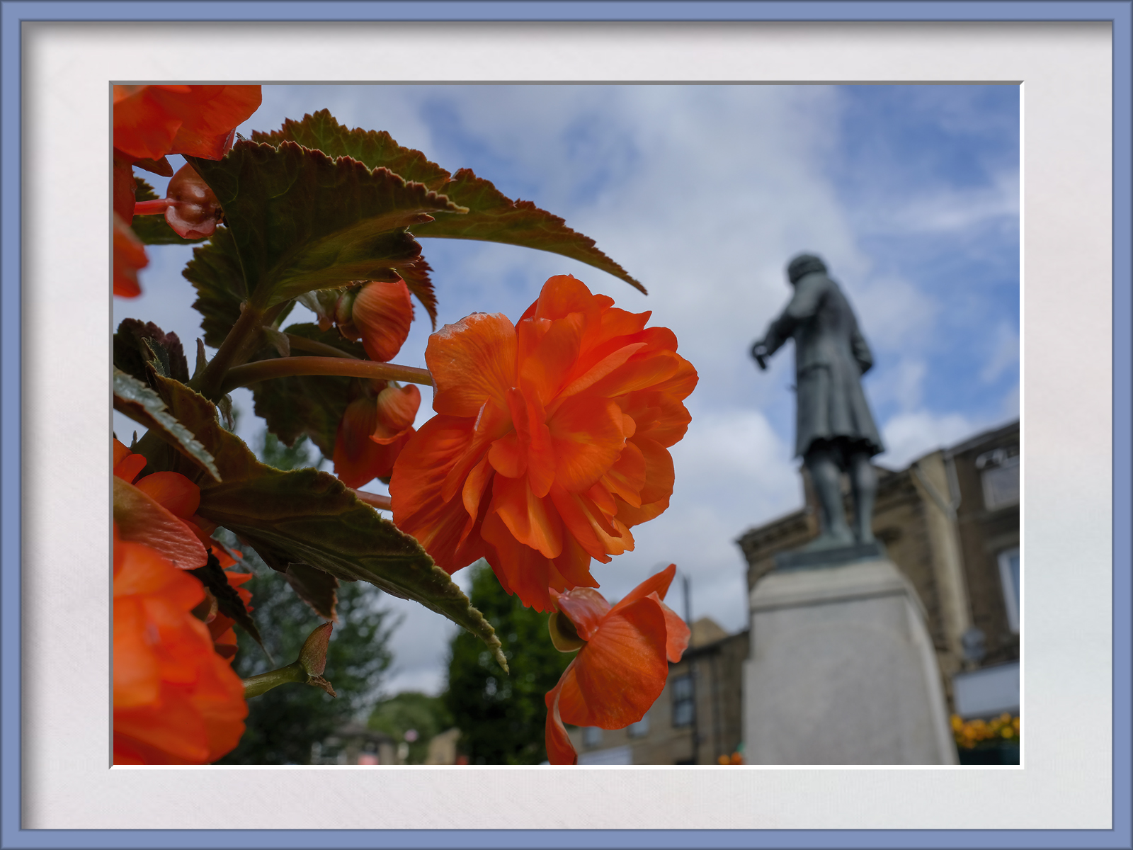 DSCF8441.jpg