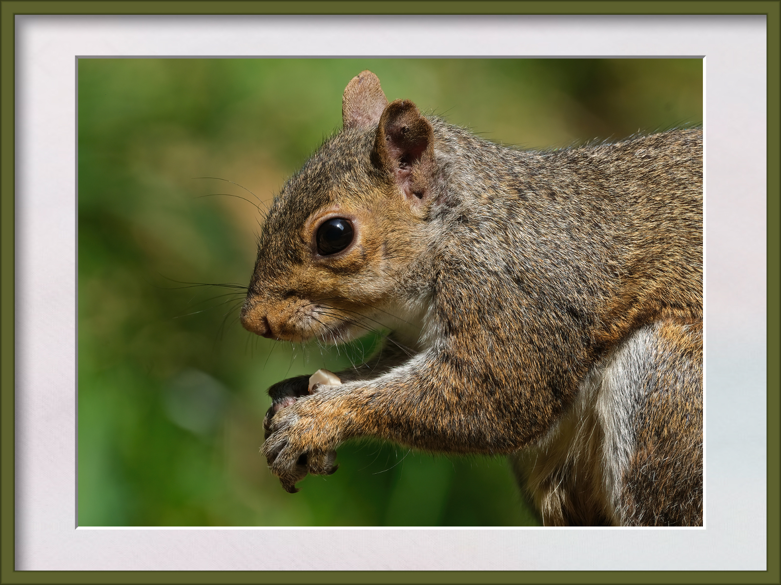 DSCF4054.jpg