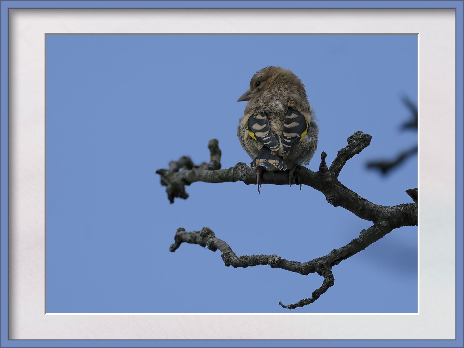 DSCF6090-Enhanced.jpg