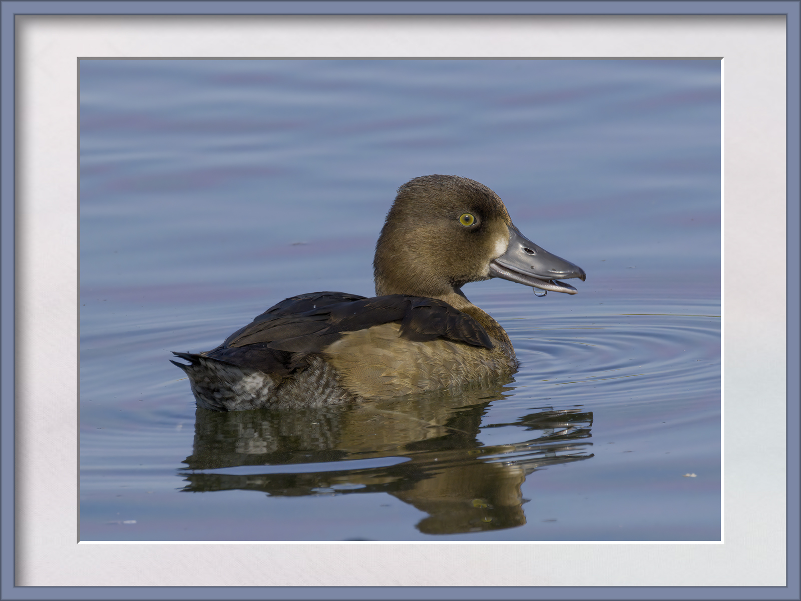 DSCF6518g-cropped.jpg