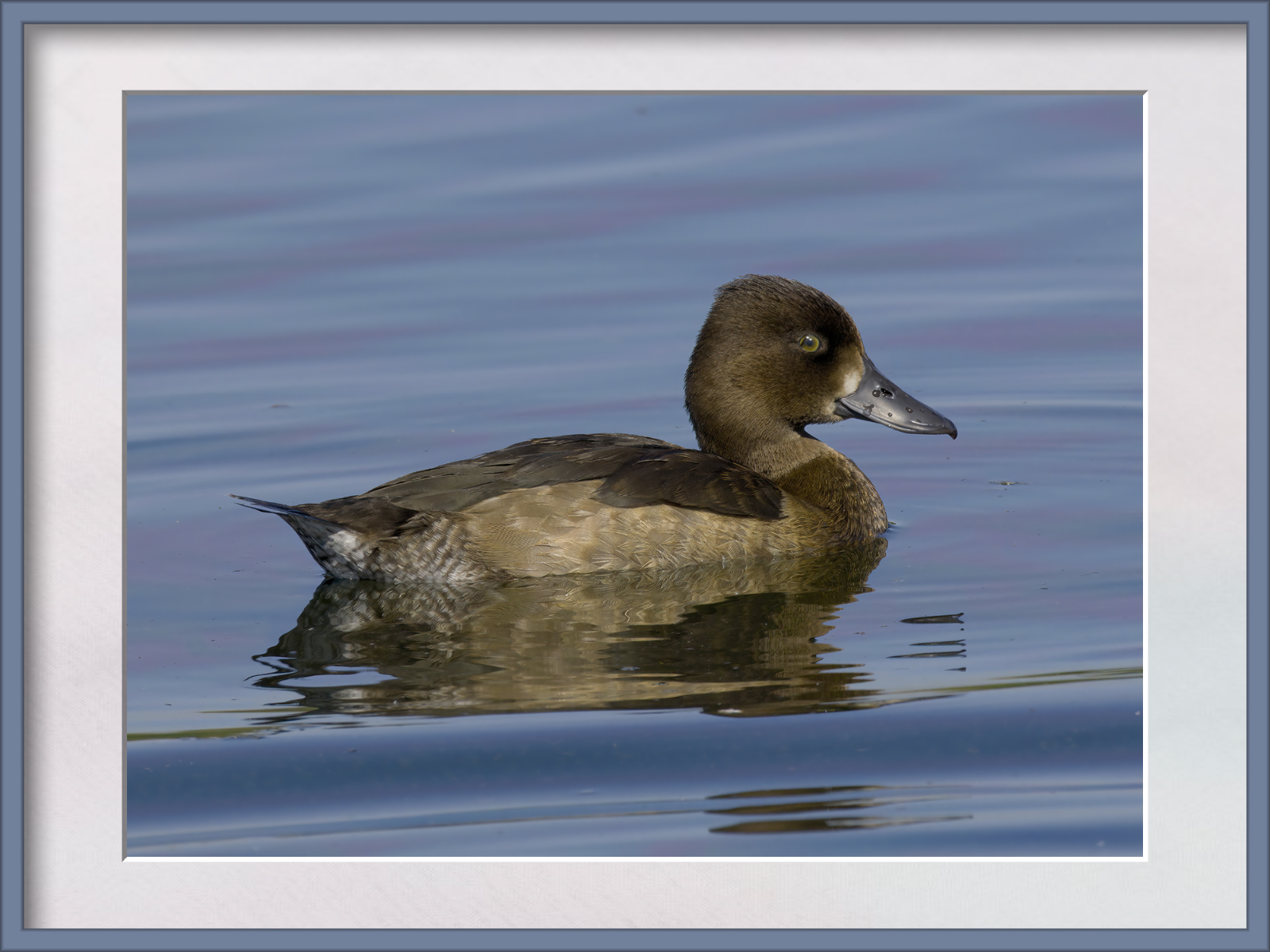 DSCF6527g-cropped.jpg