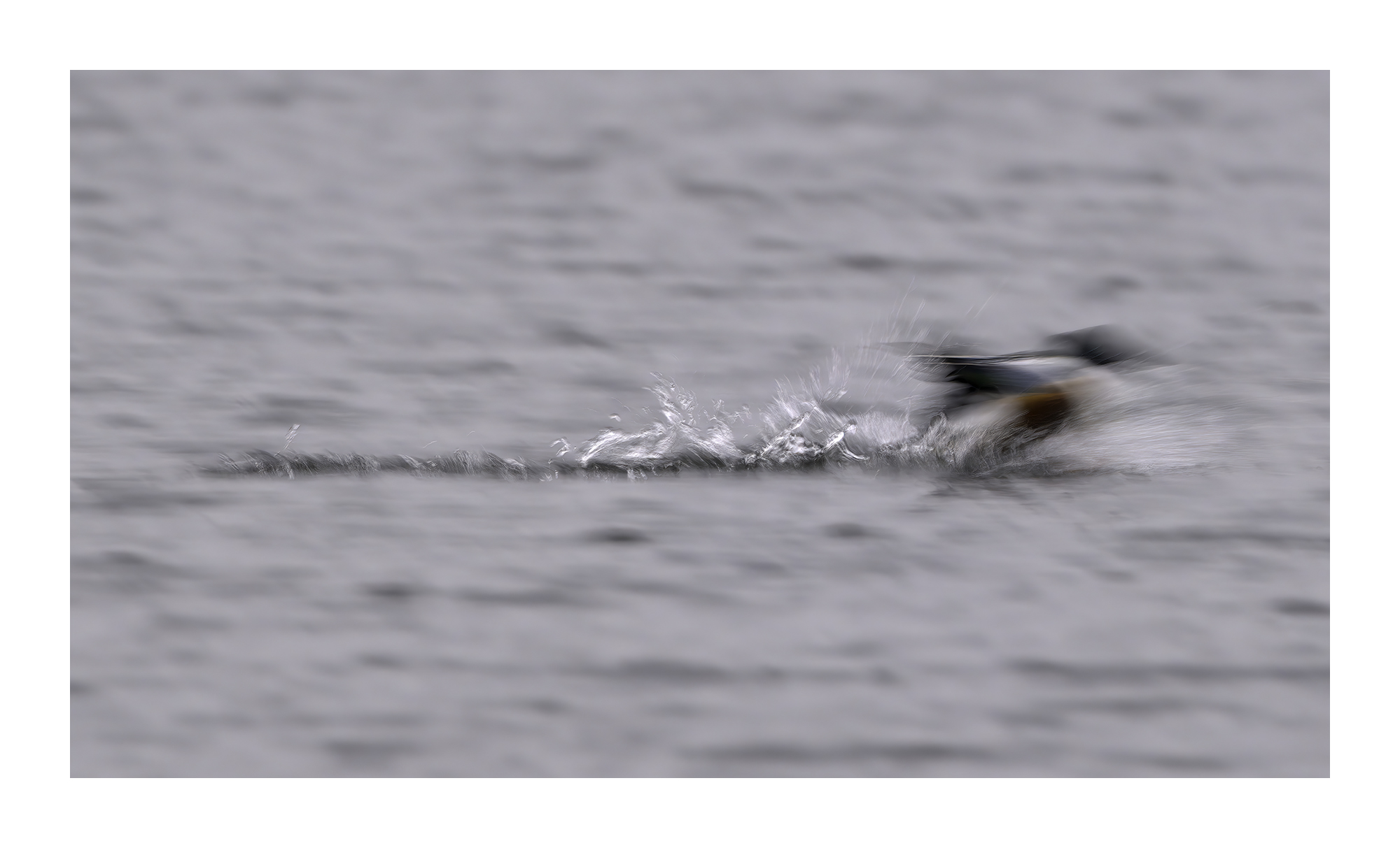 DSCF9227-very_compressed-scale-2_00x-cropped-gigapixel.jpg