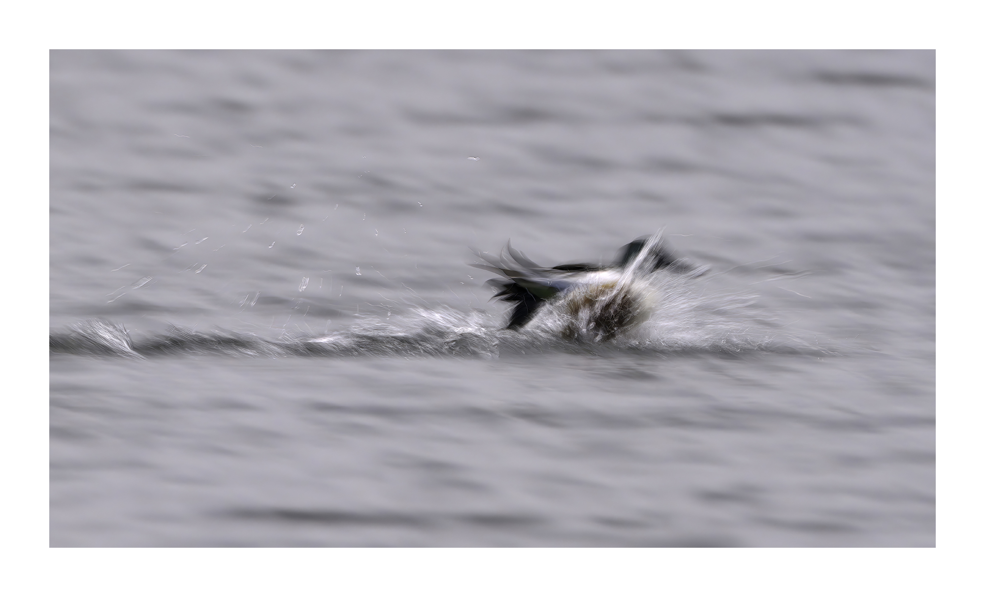 DSCF9229-very_compressed-scale-2_00x-cropped-gigapixel.jpg