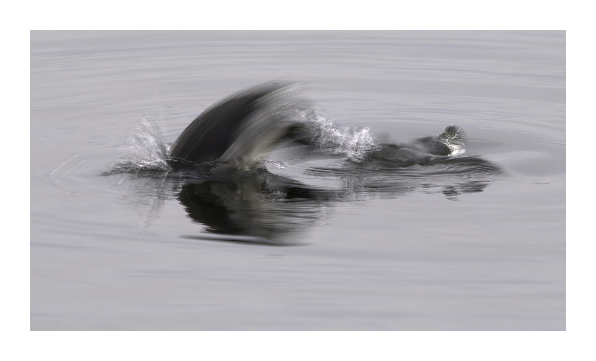DSCF9279-very_compressed-scale-2_00x-cropped-gigapixel.jpg