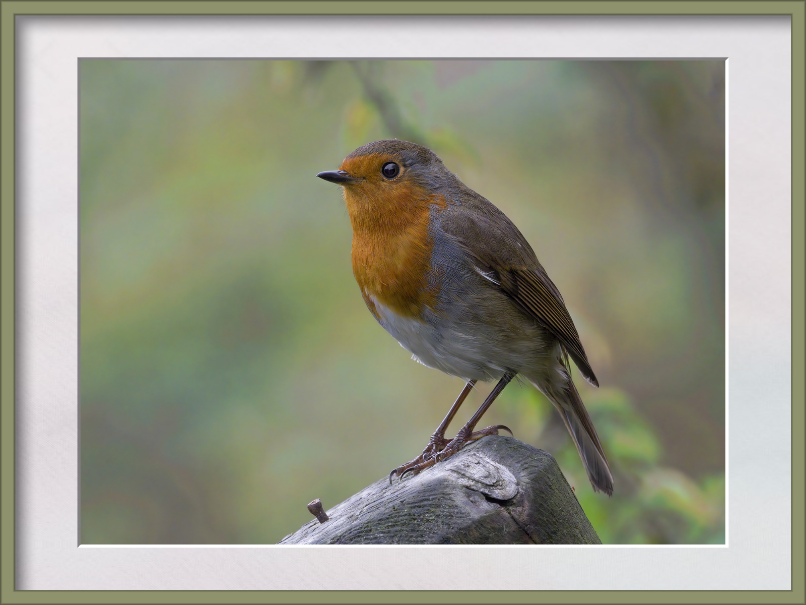 DSCF1299g-cropped.jpg