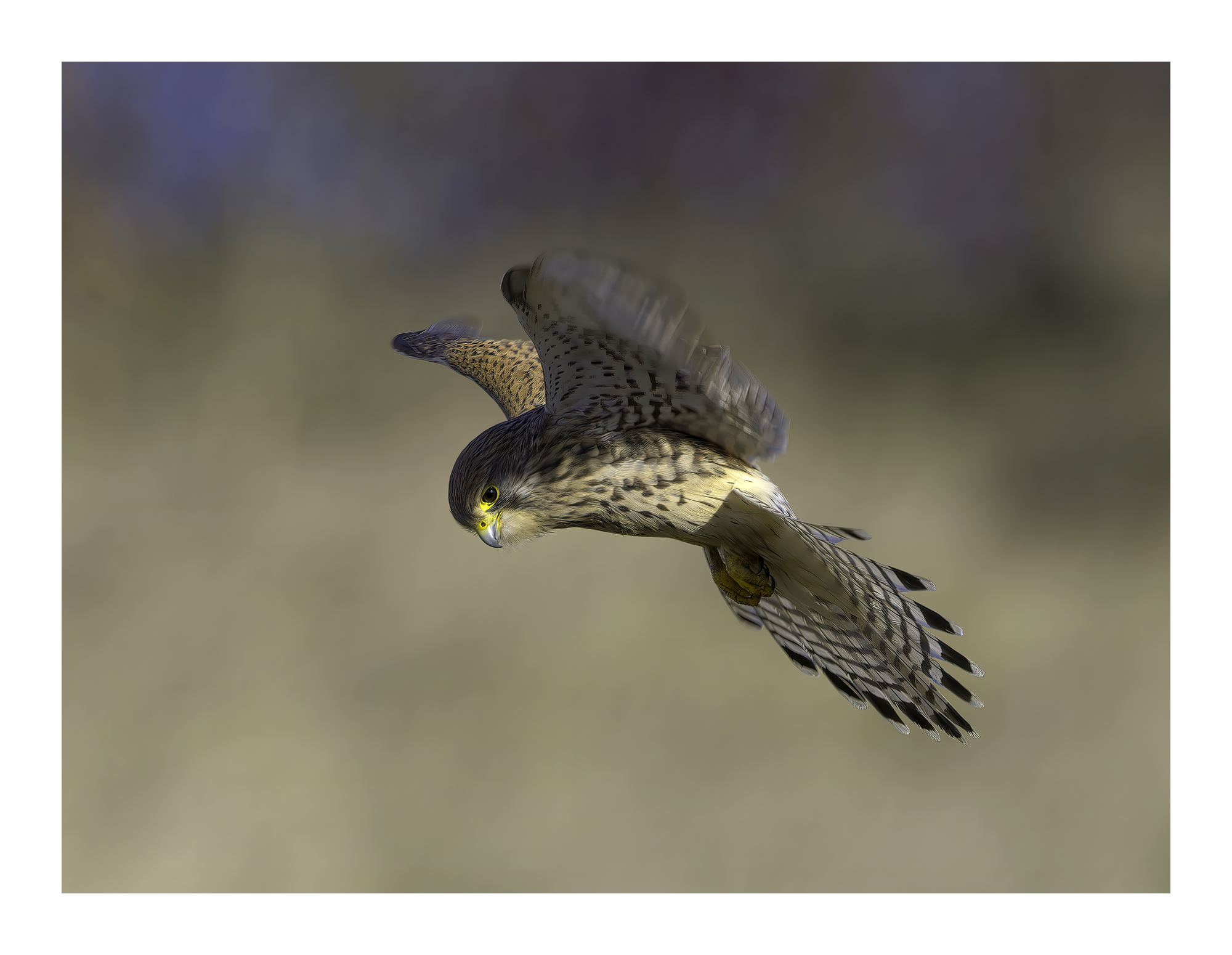 DSCF0056-very_compressed-scale-2_00x-cropped-gigapixel.jpg