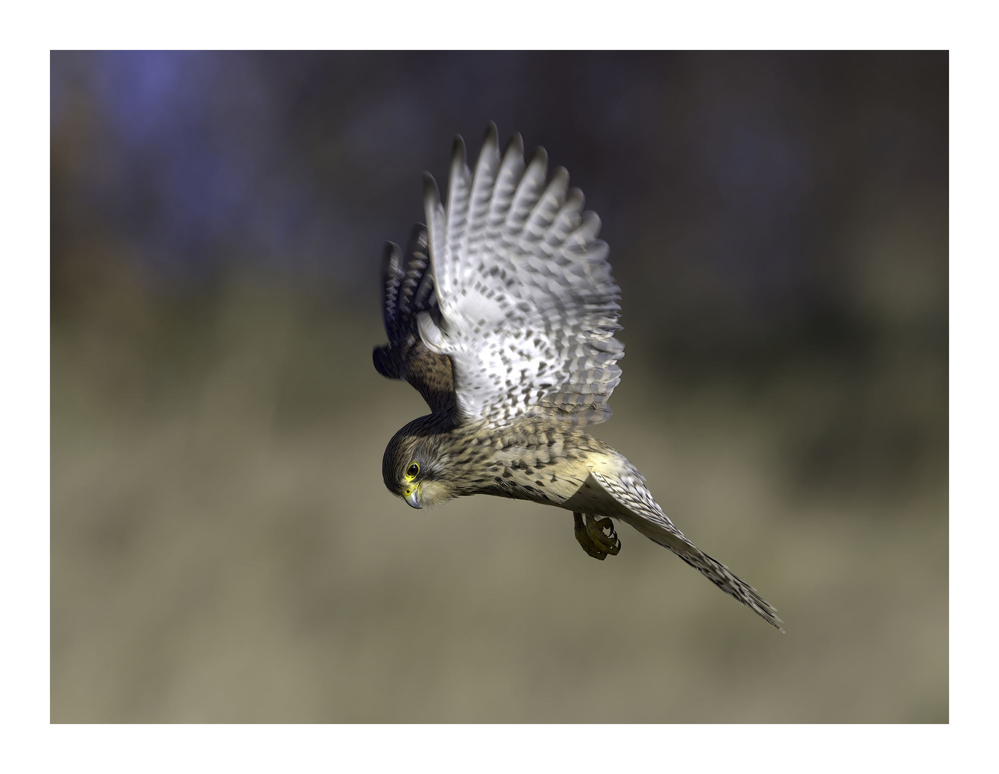 DSCF0066-art-scale-2_00x-cropped-gigapixel.jpg