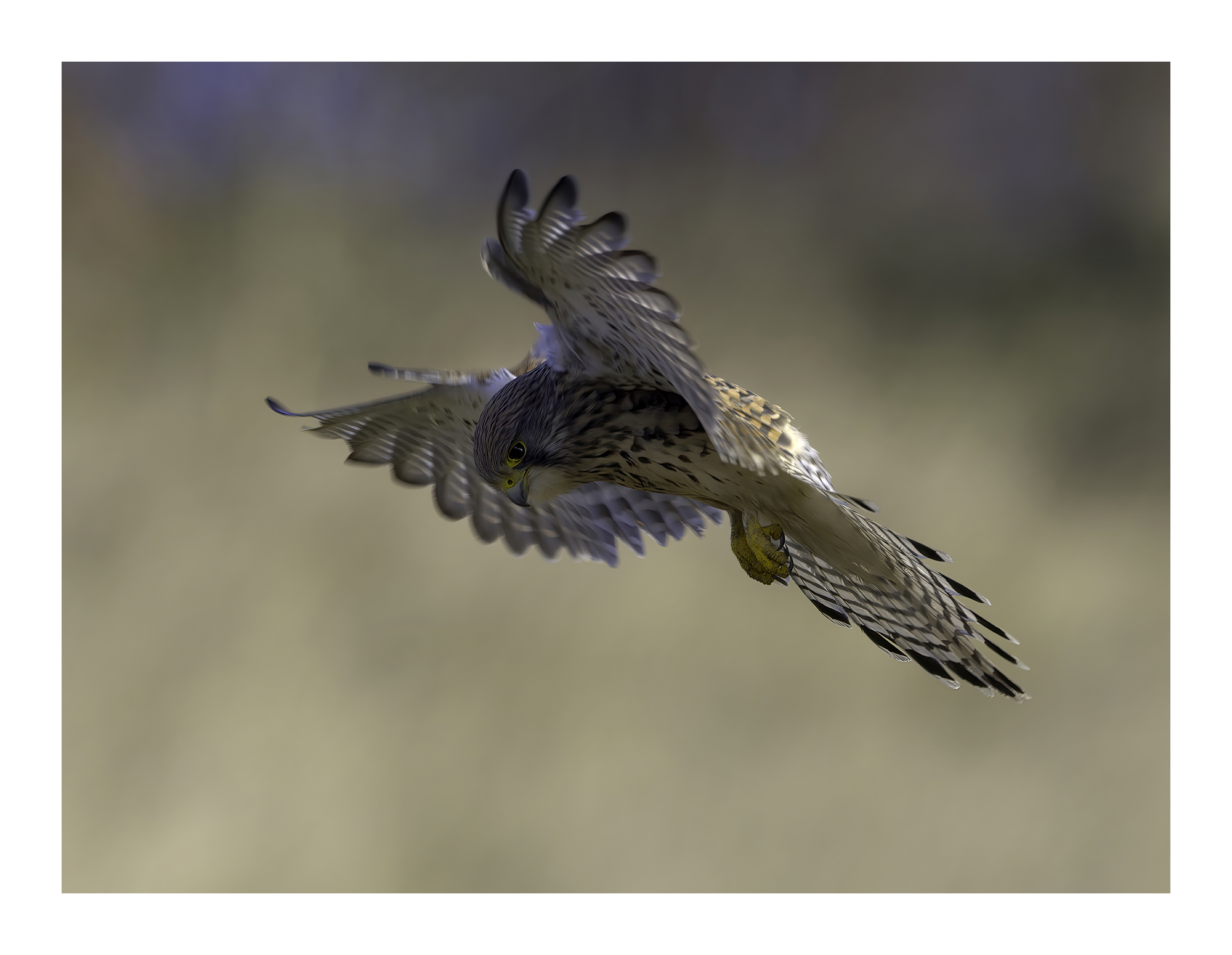 DSCF0068-art-scale-2_00x-cropped-gigapixel.jpg