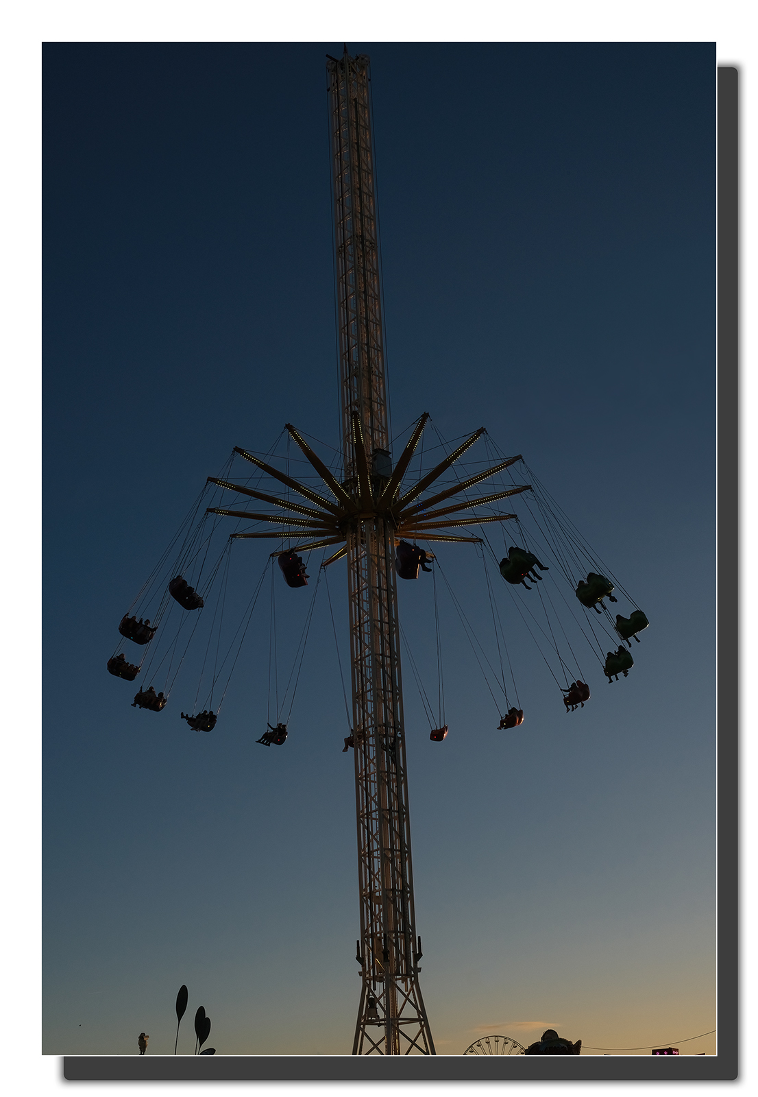ASCF5018.jpg