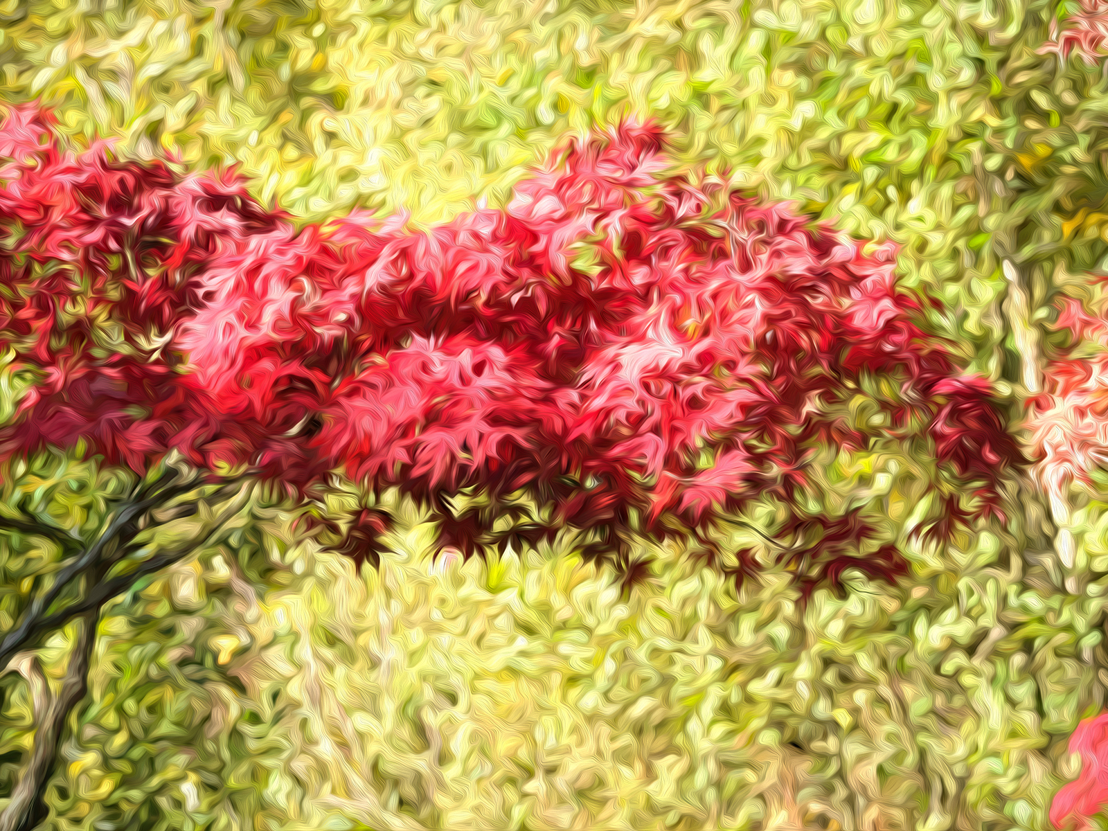 DSCF2309a.jpg