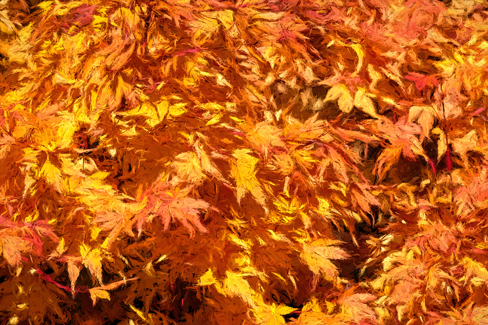 DSCF2351a.jpg