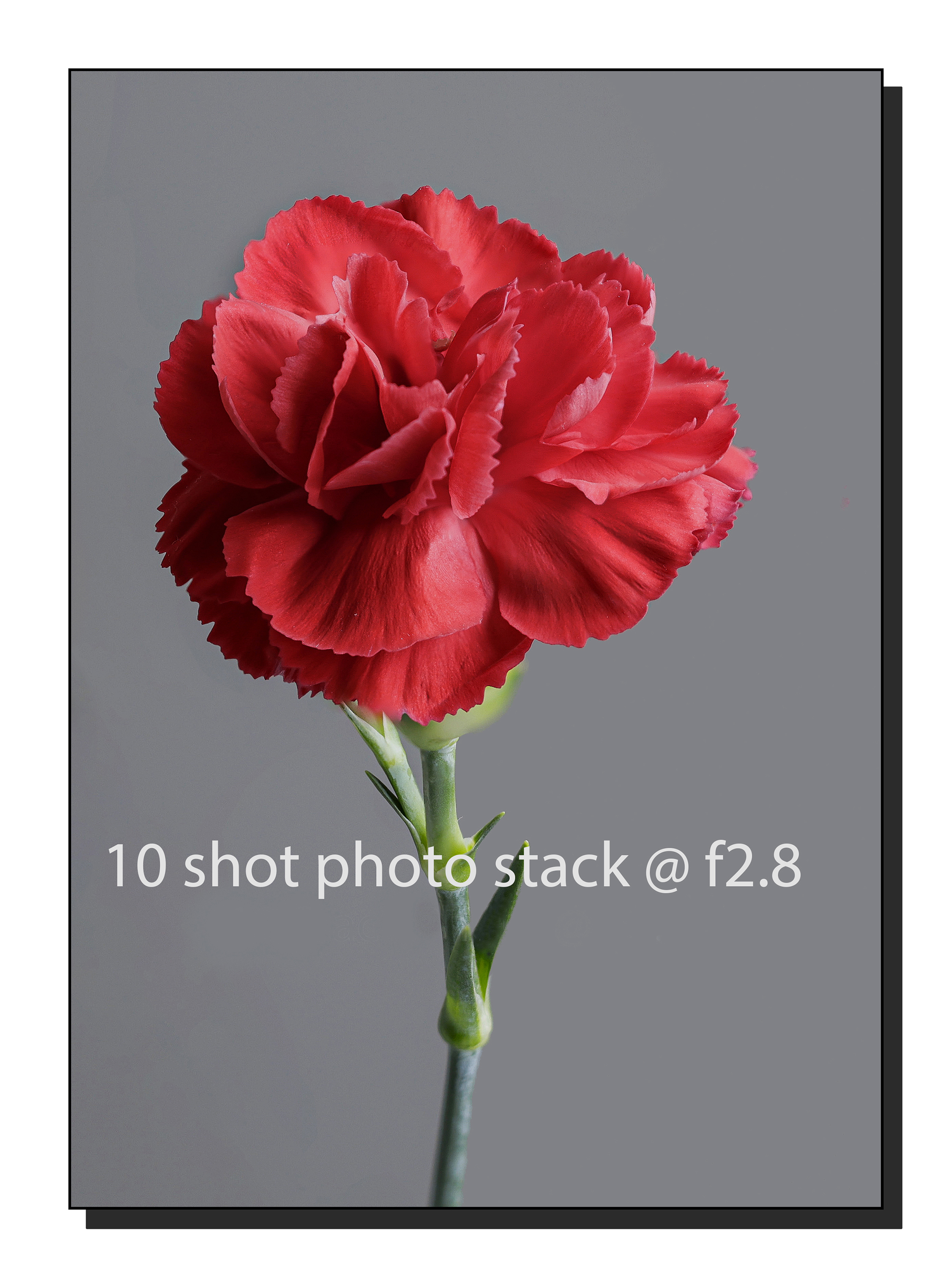 Untitled-1 copy.jpg