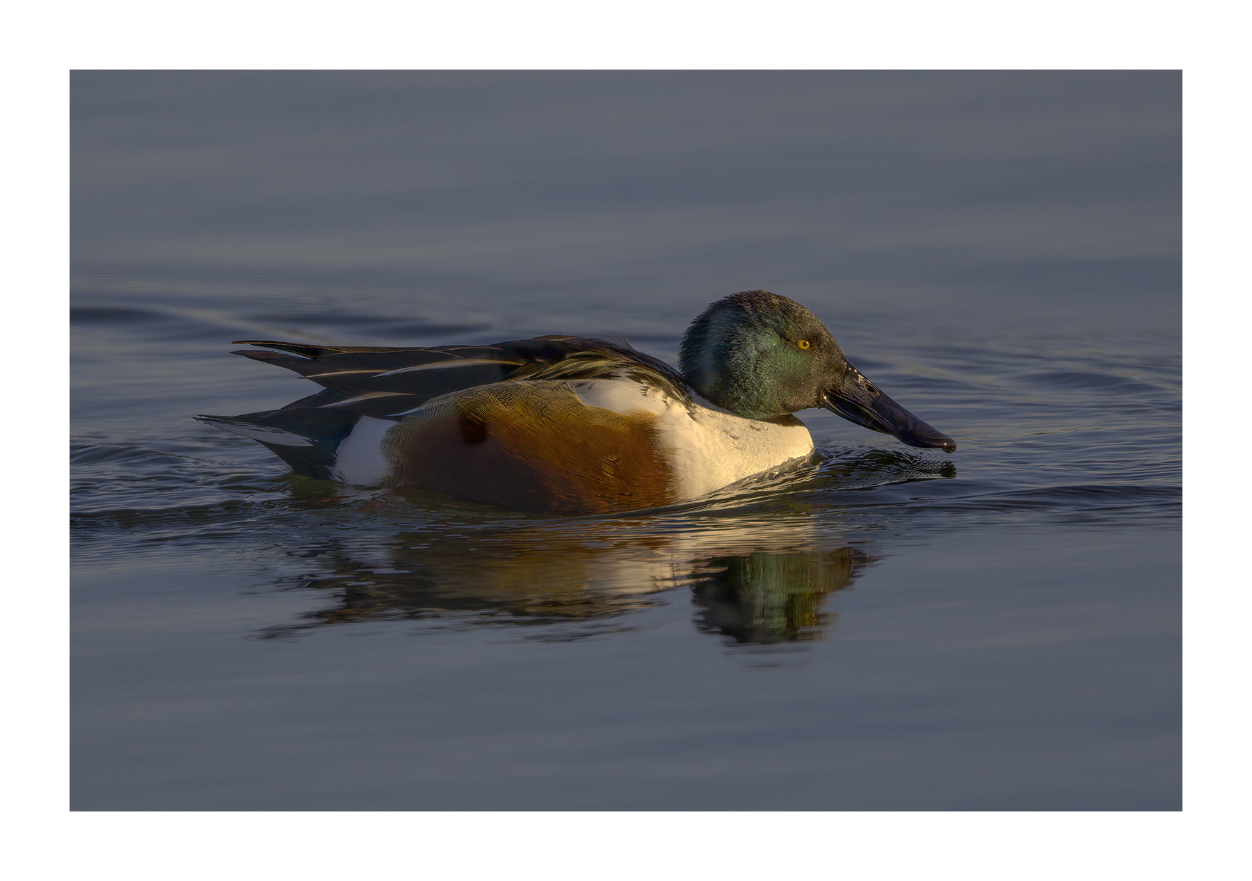 DSCF1370-croppedg-2.jpg