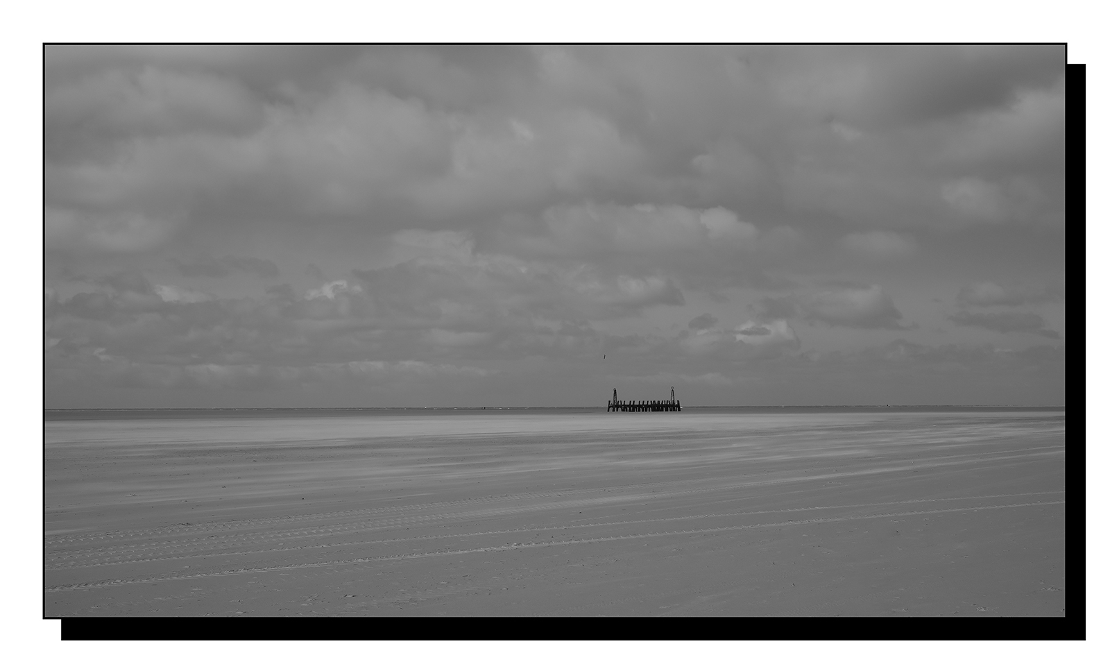 DSCF0419.jpg