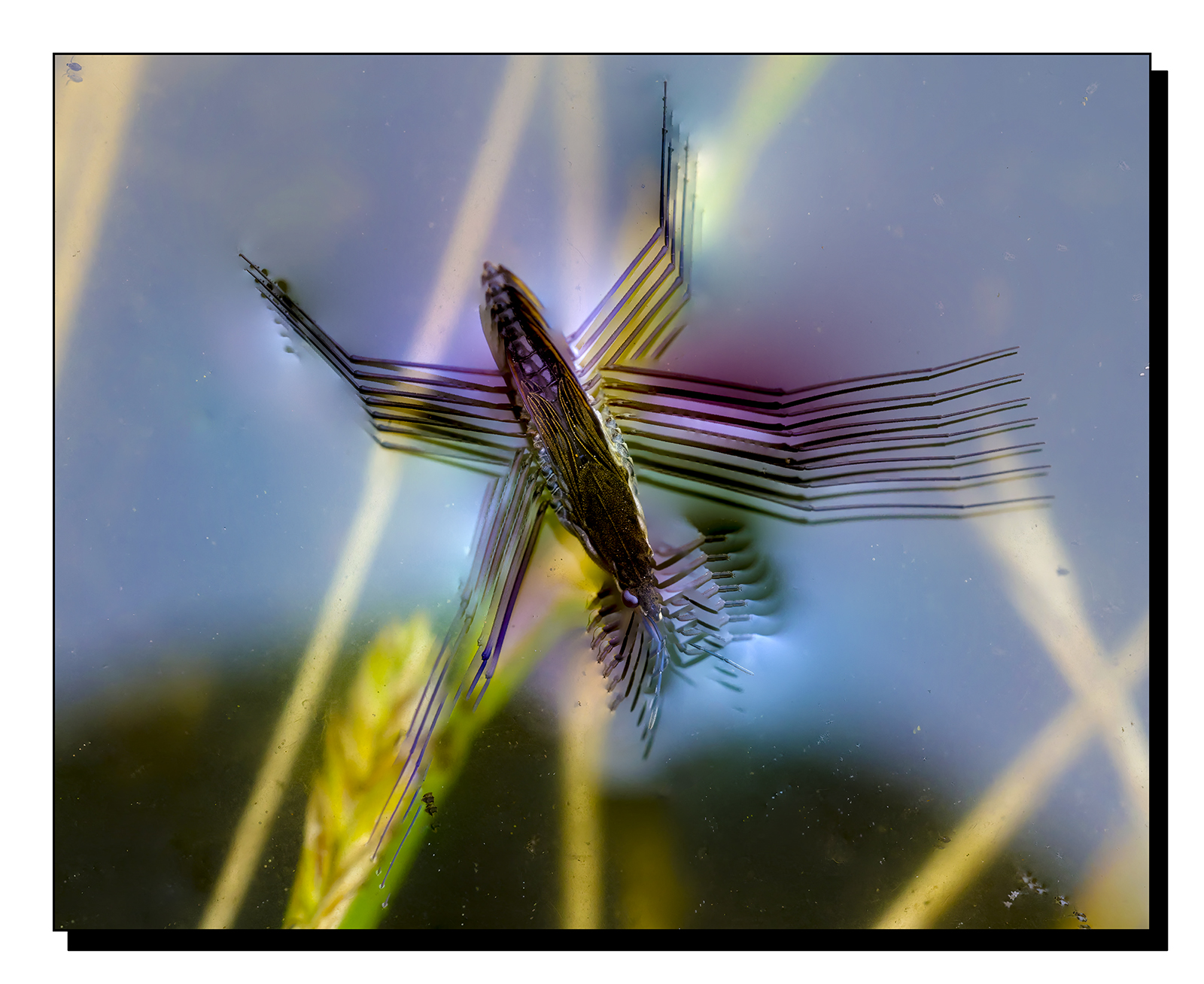 Untitled-4.jpg
