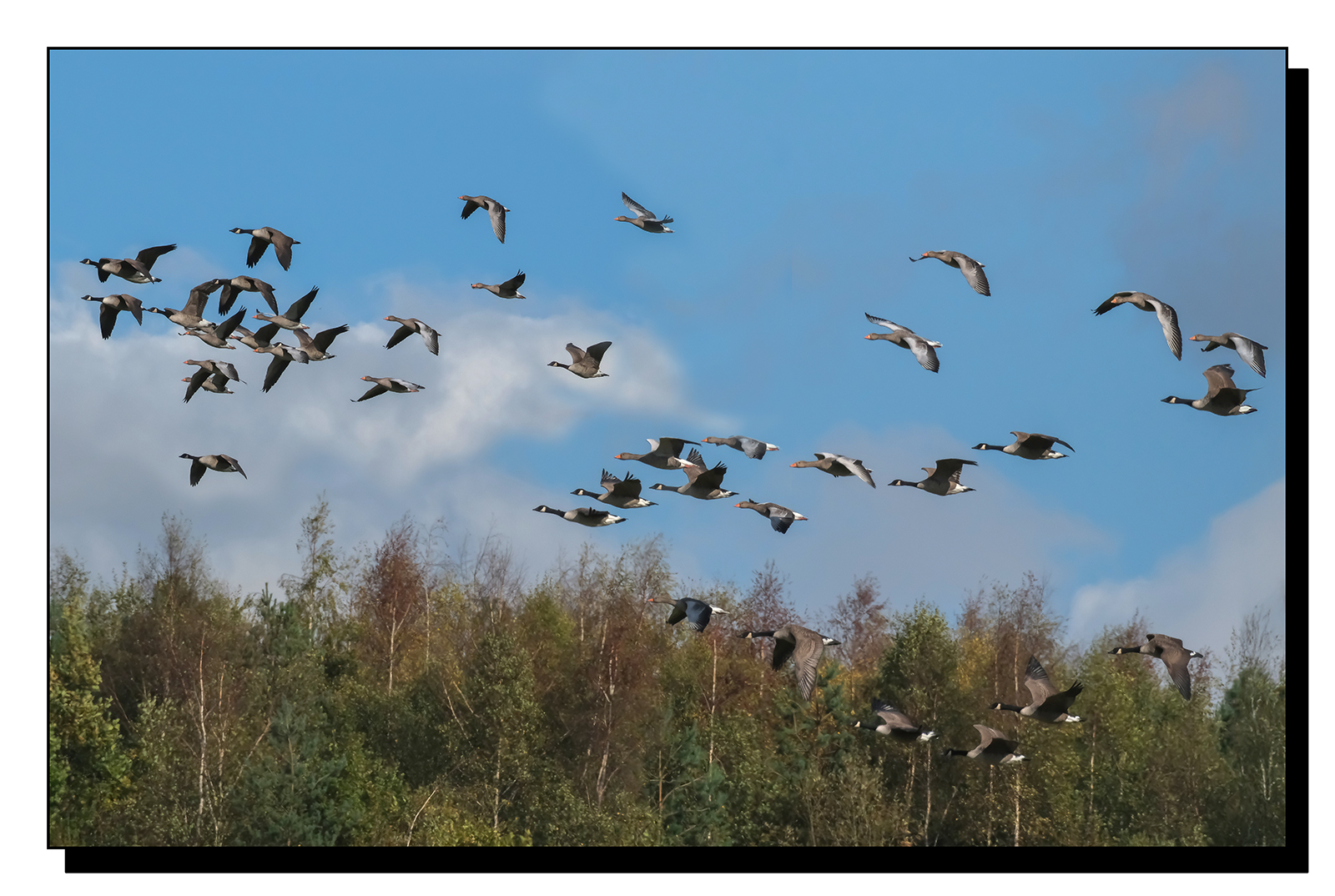 DSCF3177.jpg
