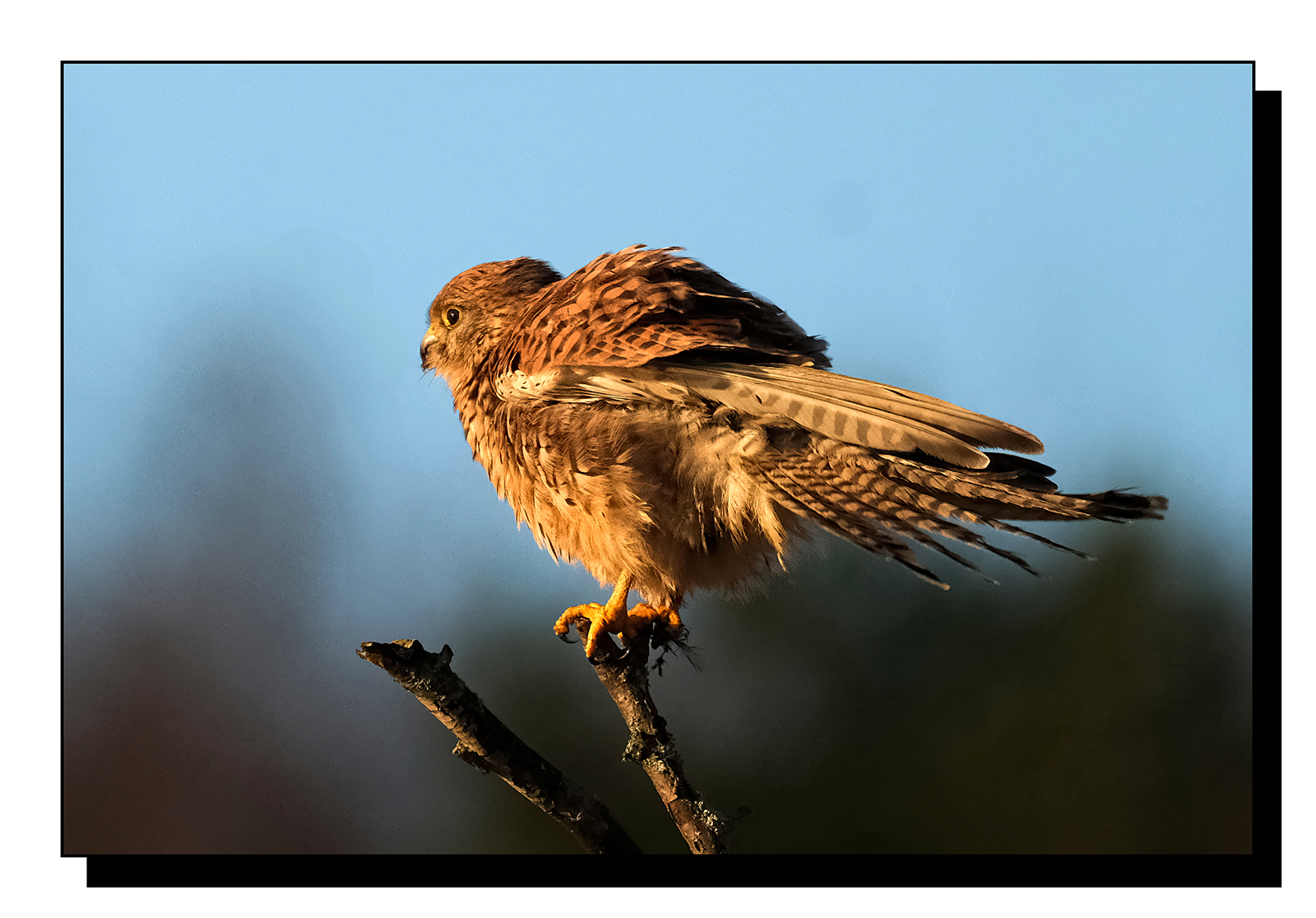 DSCF1055-gigapixel-art-scale-2_00x.jpg