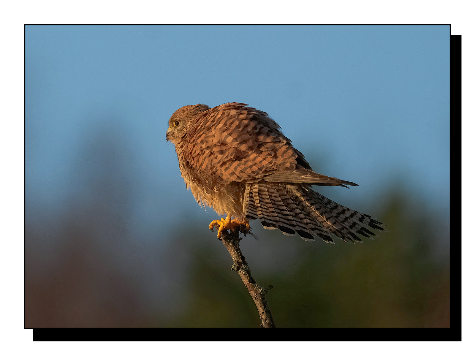 DSCF1061-gigapixel-art-scale-2_00x.jpg