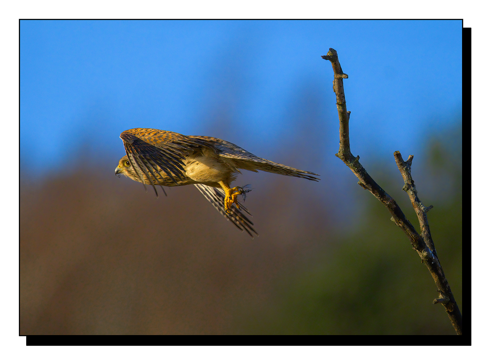 DSCF1097-gigapixel-art-scale-2_00x.jpg