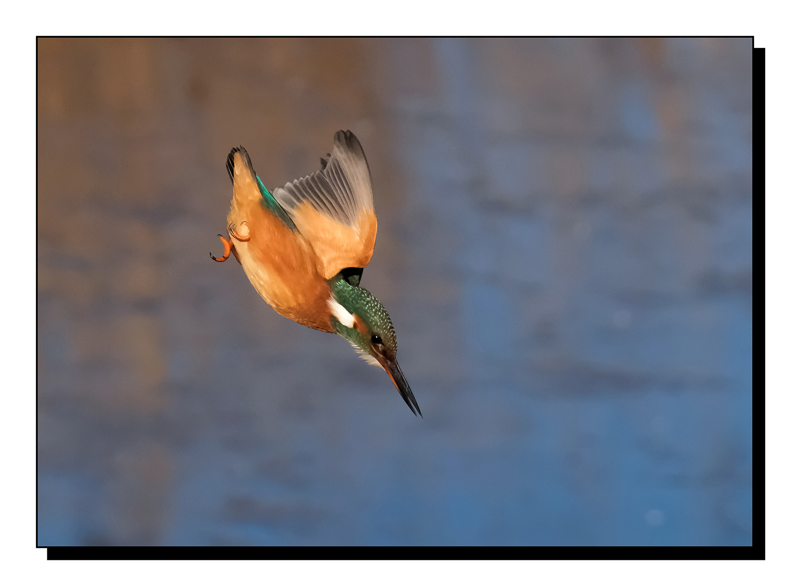 DSCF1582-gigapixel-art-scale-2_00x.jpg