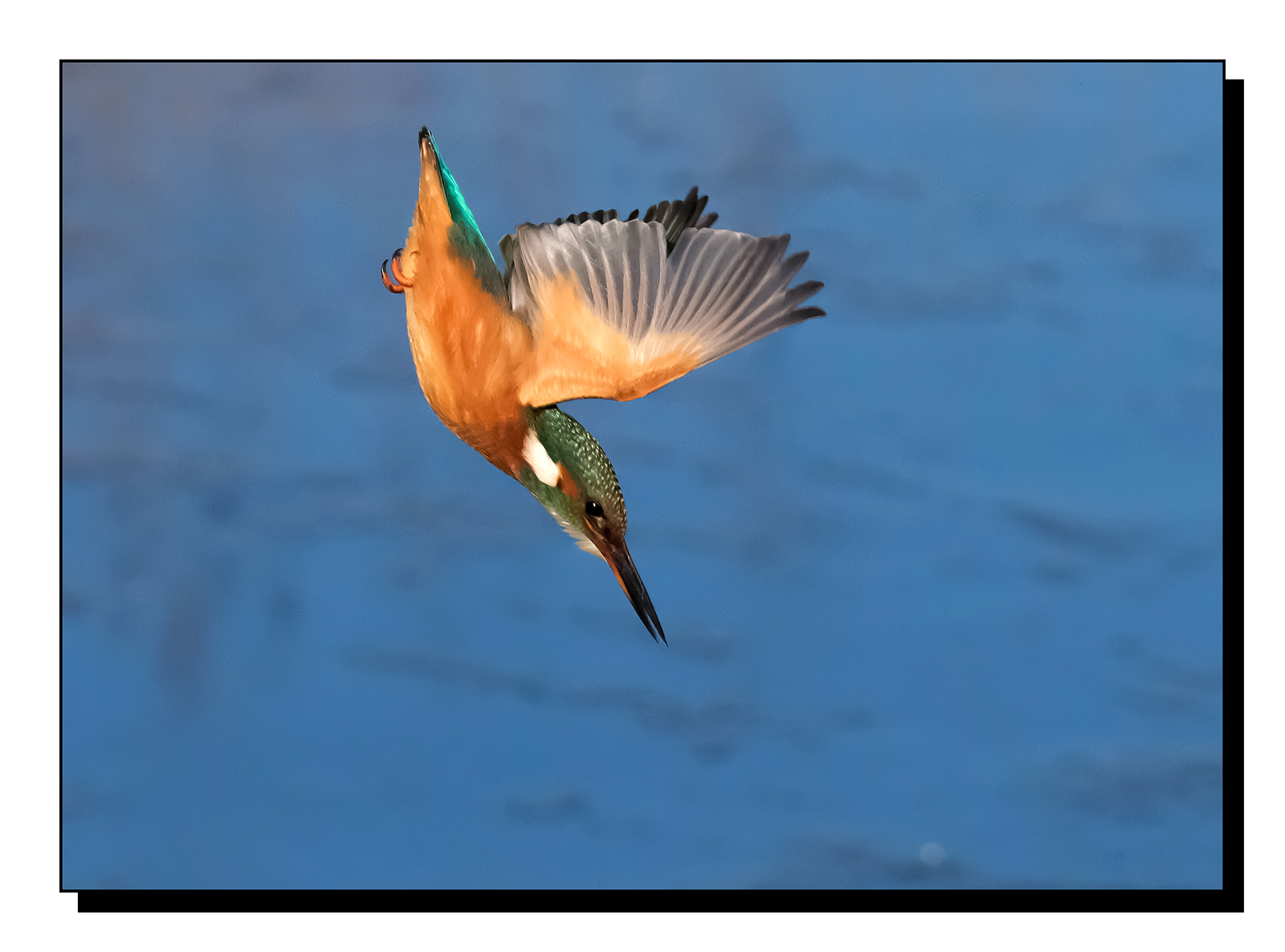 DSCF1583-gigapixel-art-scale-2_00x.jpg