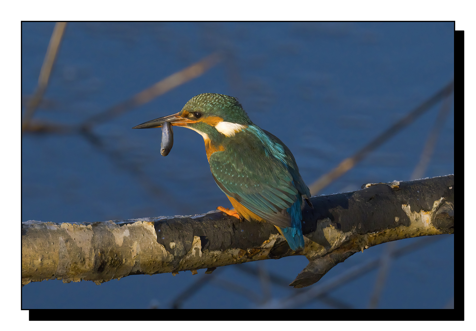 DSCF1907-gigapixel-art-scale-2_00x raw.jpg