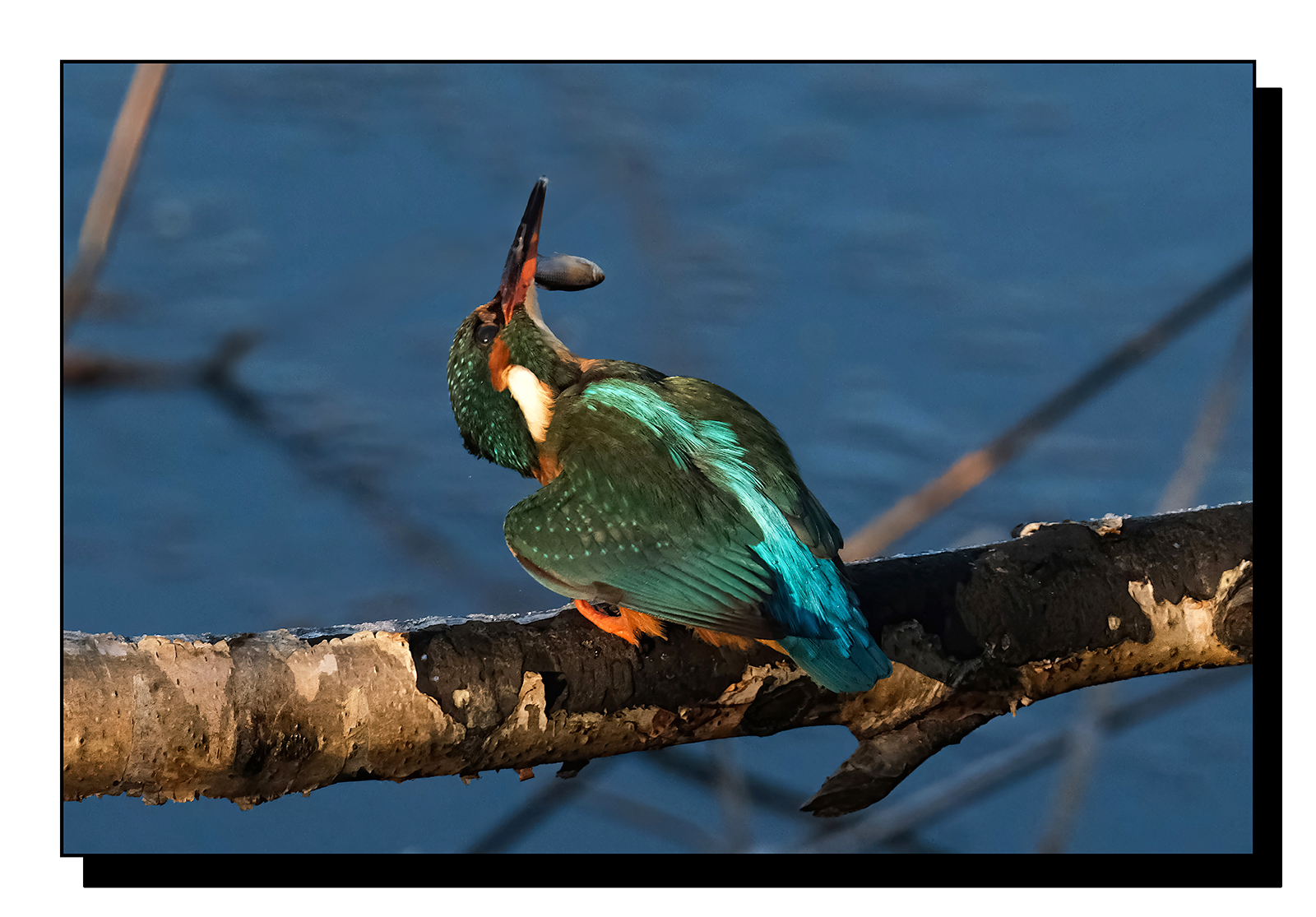 DSCF1915-gigapixel-art-scale-2_00x.jpg