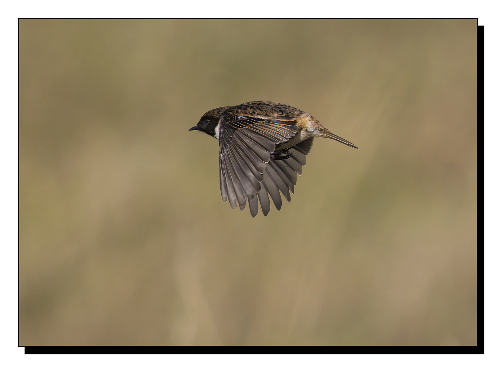 _60A8733-gigapixel-art-scale-2_00x.jpg