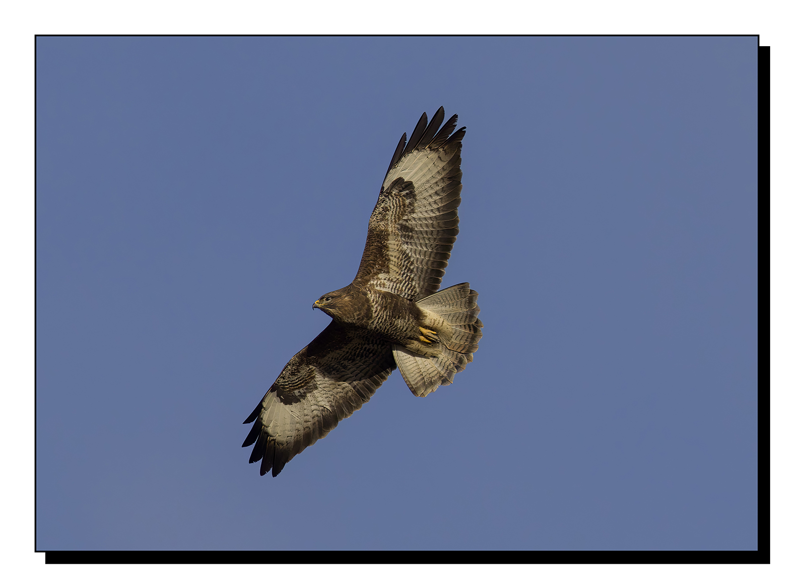 _60A8974-gigapixel-art-scale-2_00x.jpg