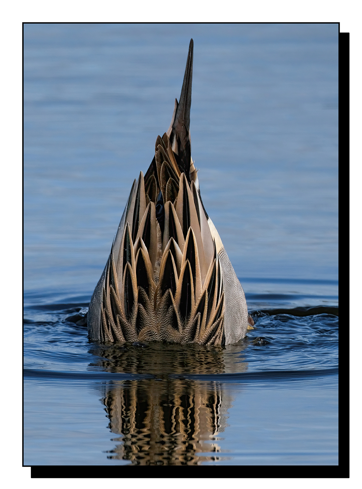 DSCF0205-gigapixel-art-scale-2_00x.jpg