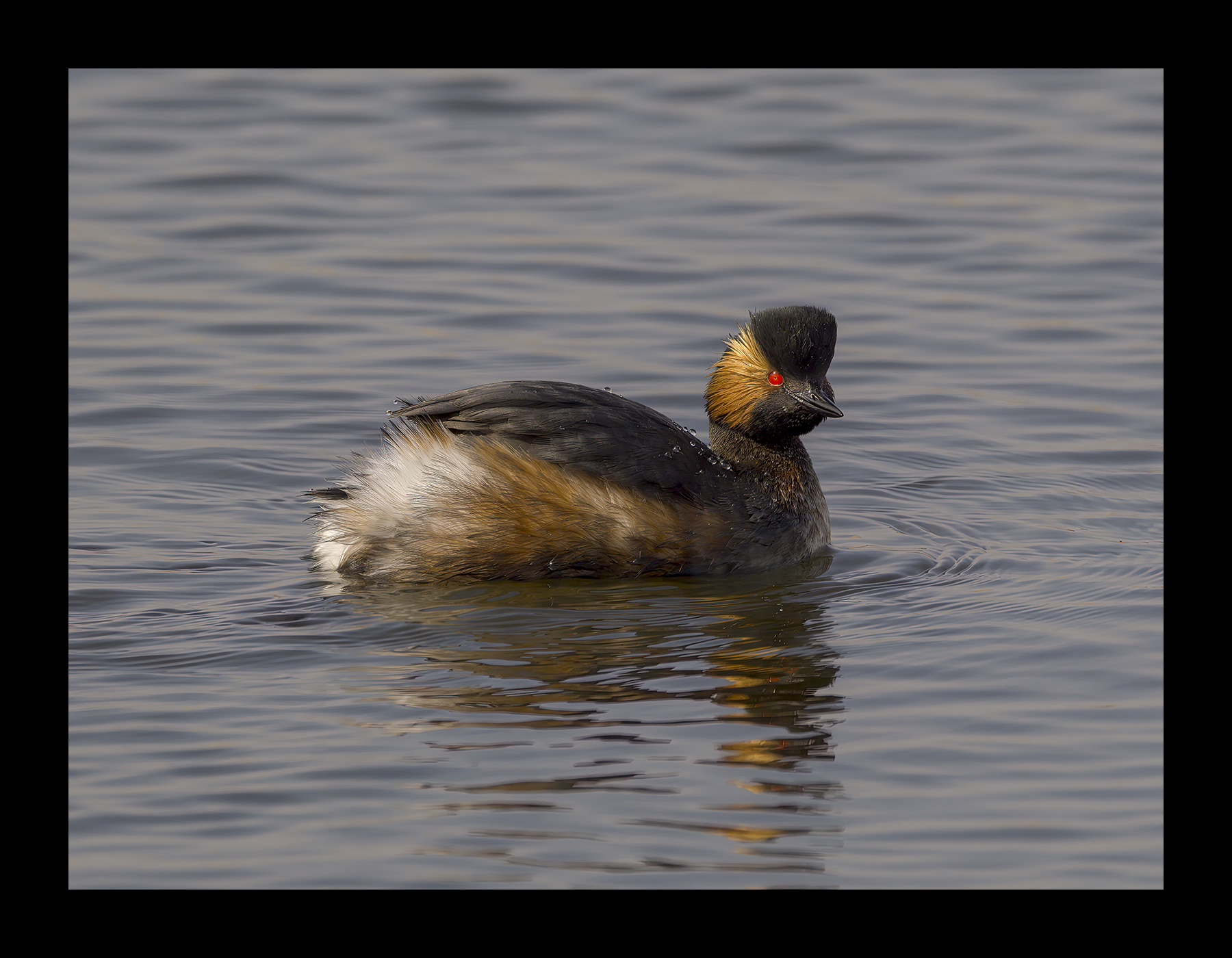 DSCF3791-croppedg.jpg