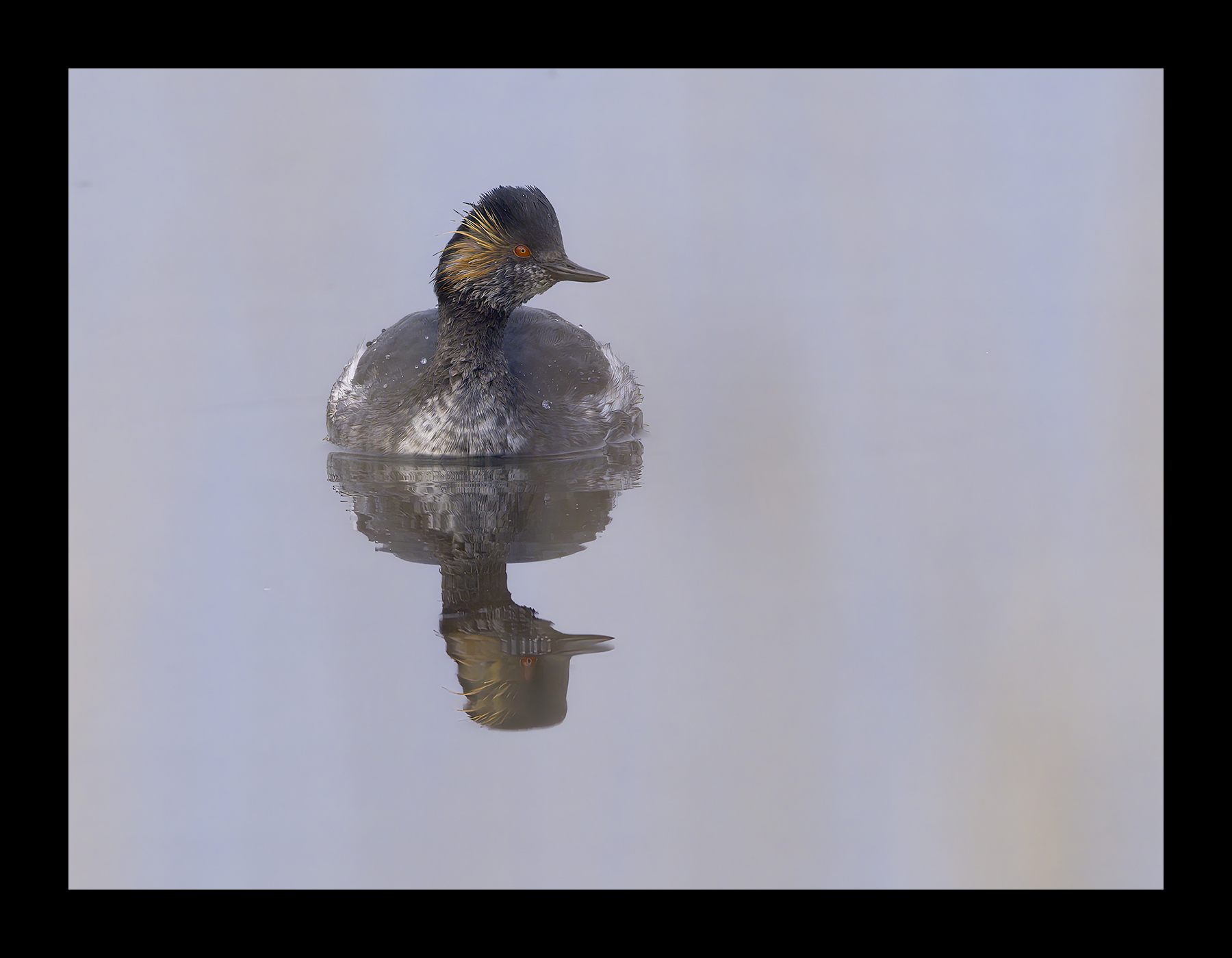 DSCF4320-croppedg.jpg