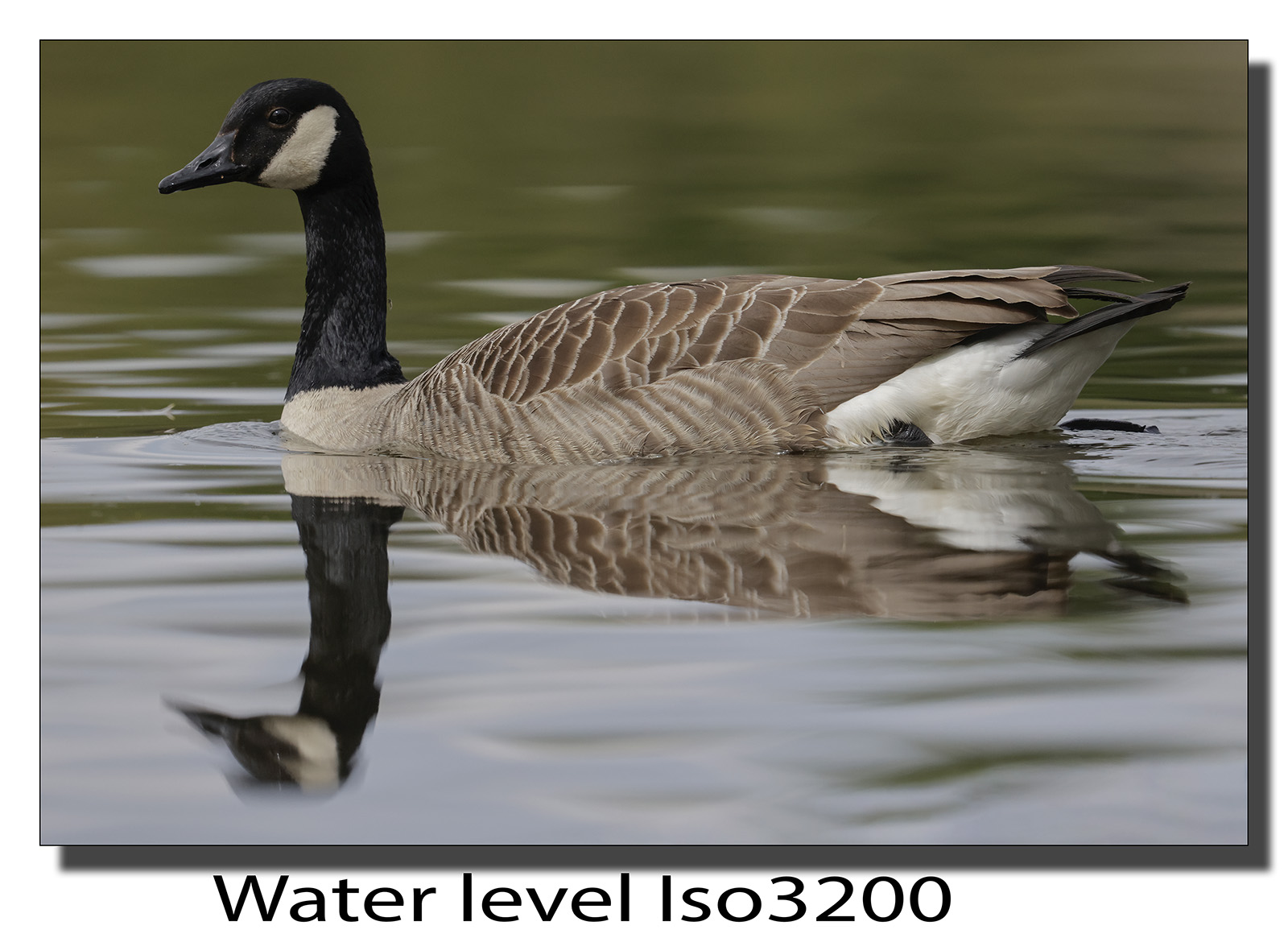 _60A2491.jpg