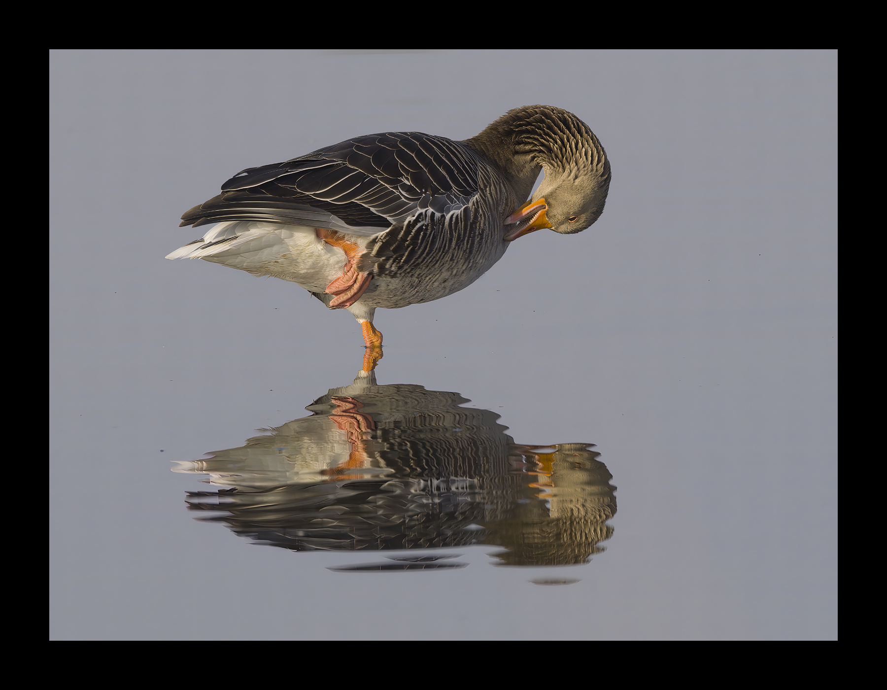 DSCF4918g-cropped.jpg
