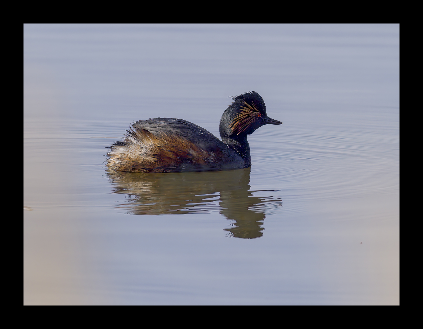 DSCF5996-croppedg.jpg