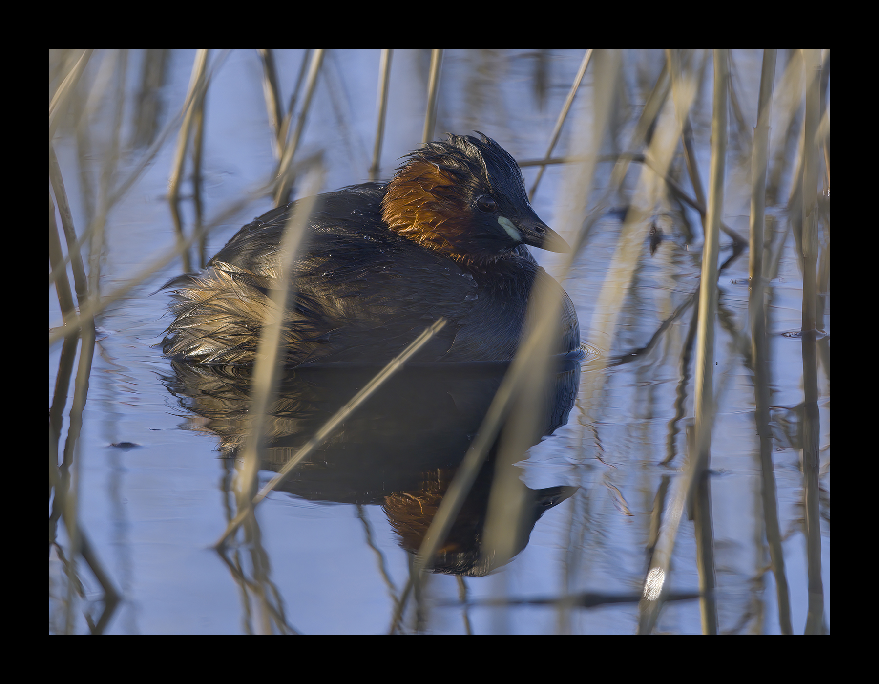 DSCF6706g-cropped.jpg