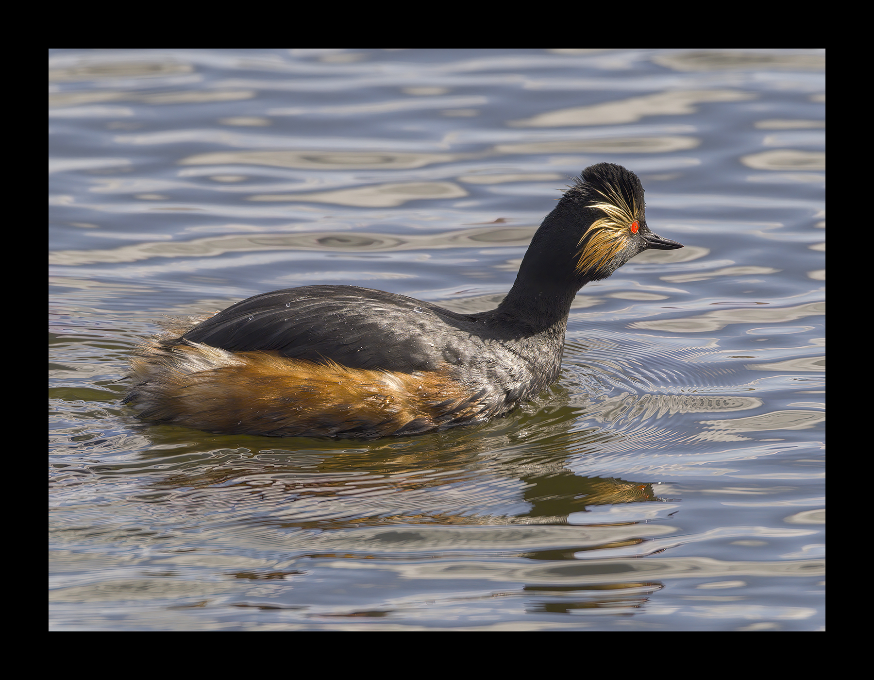 DSCF7098g-cropped.jpg