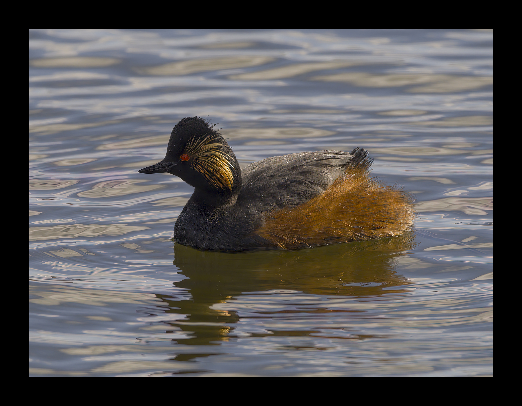 DSCF7119g-cropped.jpg