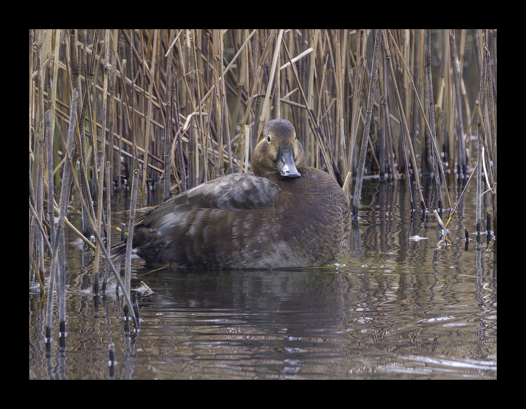 DSCF7512g.jpg