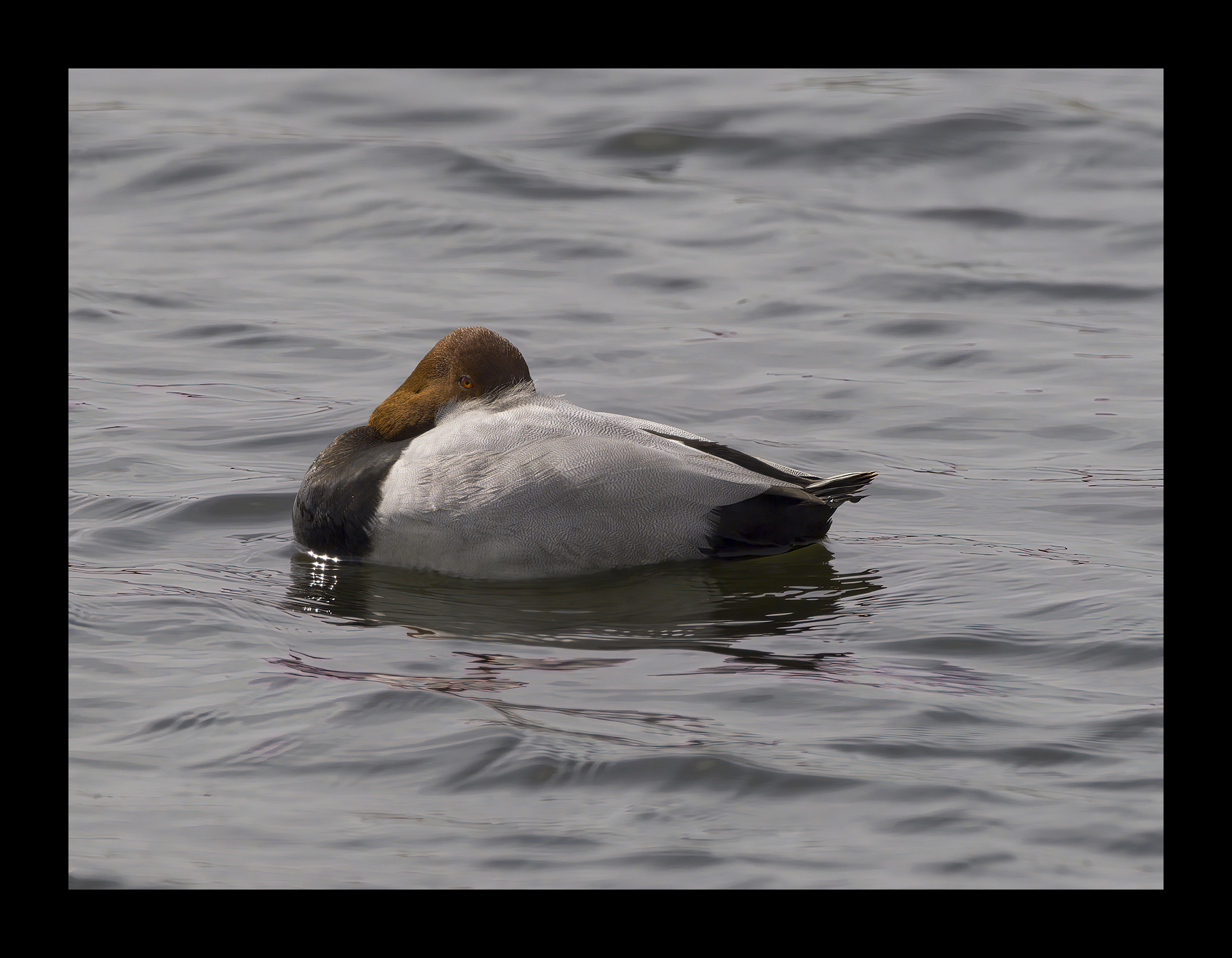 DSCF7615g-cropped.jpg