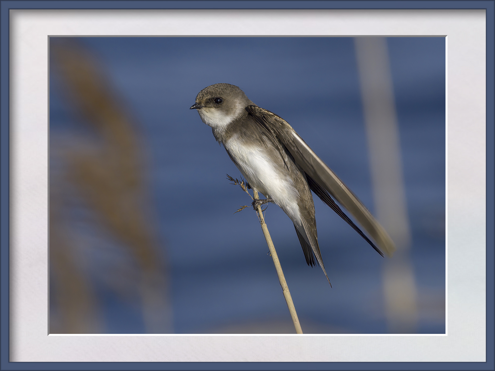 DSCF7807g-cropped.jpg