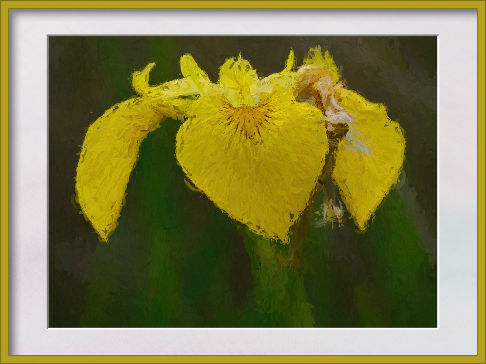 DSCF0751.jpg