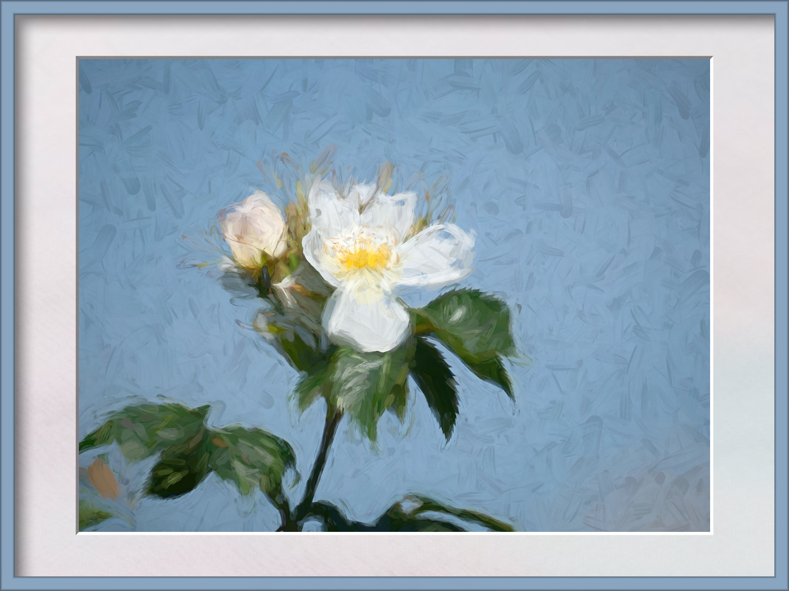 DSCF8324.jpg